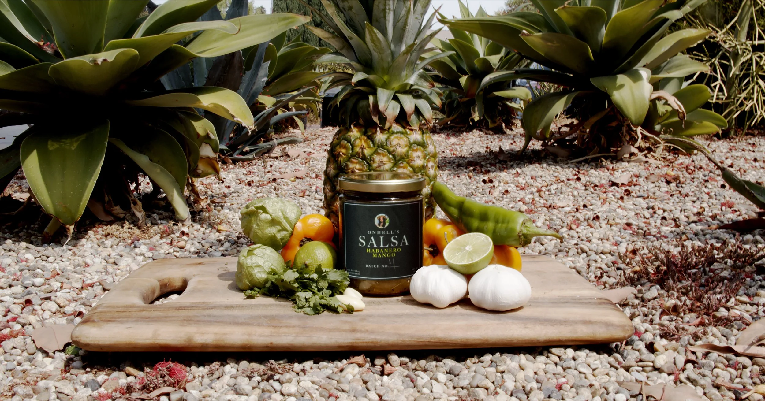 salsa mange 2025.jpg