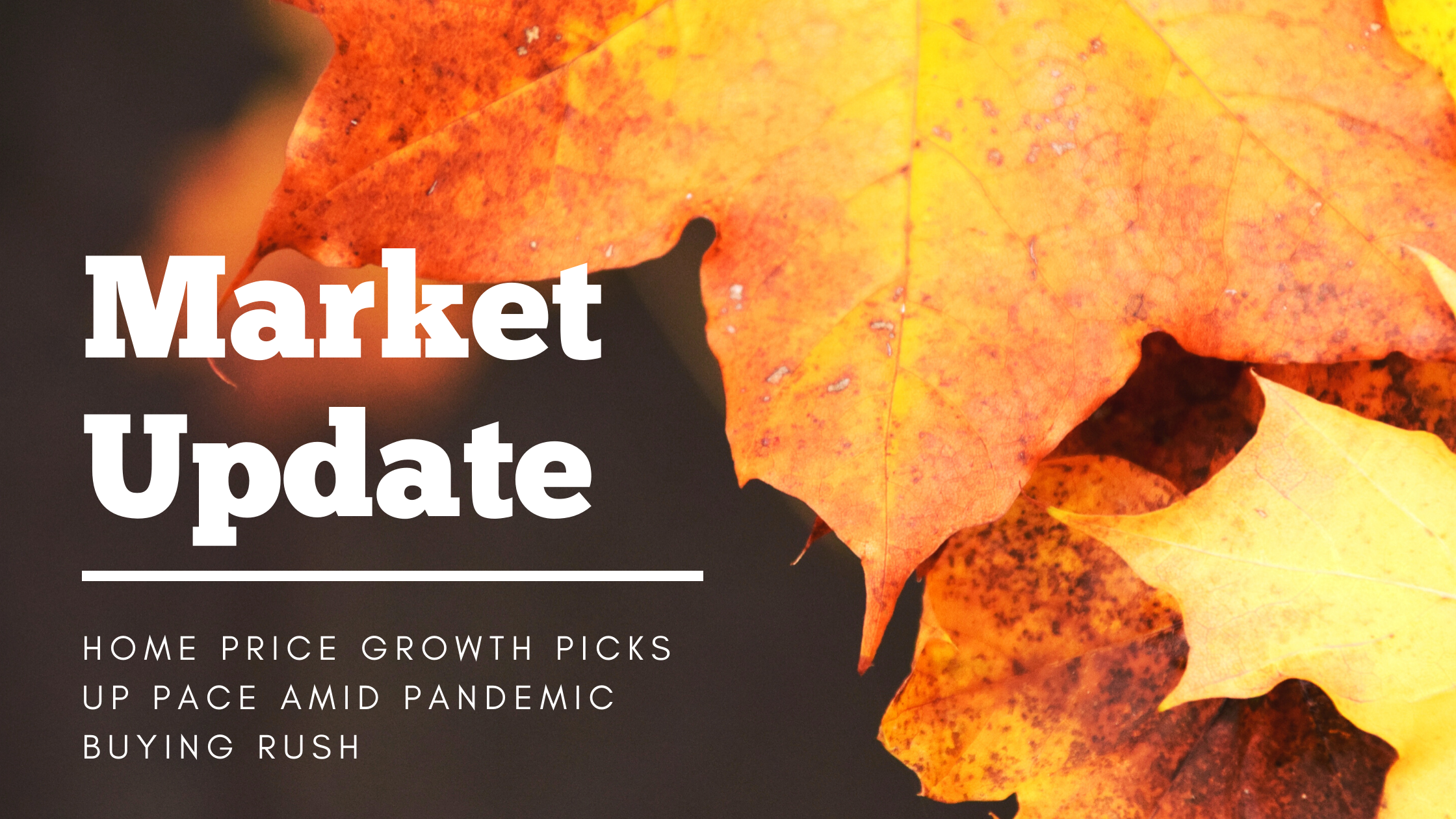 Market Update- Home Price Growth Picks Up Pace Amid Pandemic Buying Rush