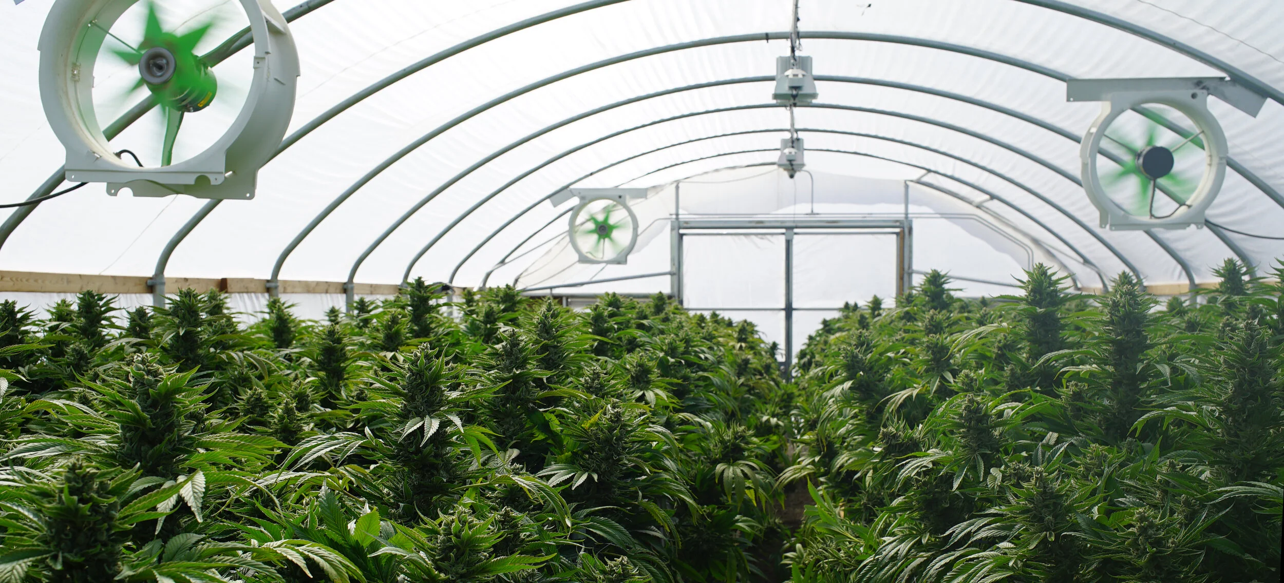 iStock-597927996 2.jpg