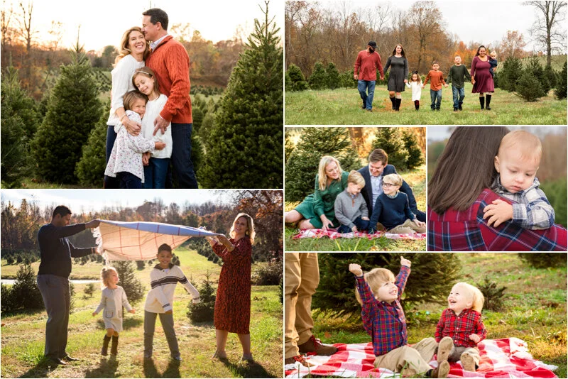 Joy & Laughter at the Christmas Tree Farm Friendship Trees, Maryland