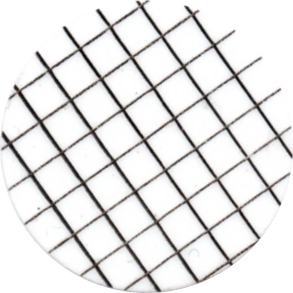 Membrane_puhdas_th.jpg