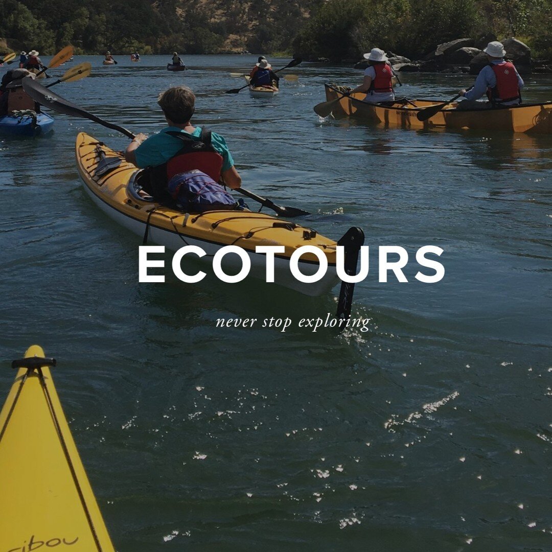 🌴 Costa Rica

🐋 Kachemak Bay

🛶 Kayaker&rsquo;s Cove

🌐 watershedscience.org
🌊 Link in bio