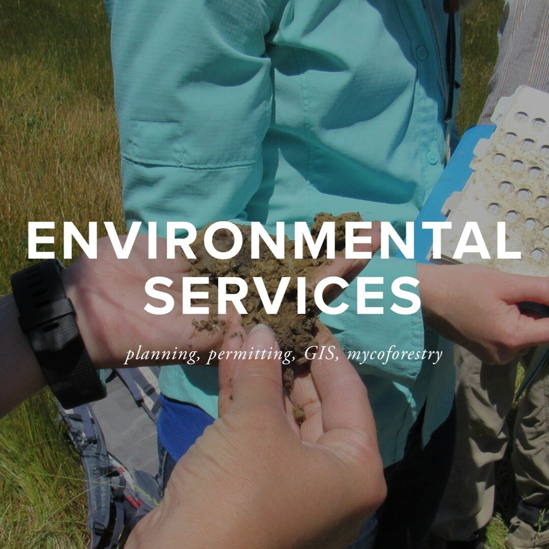 Environmental Services

🔥 Fire

🧭 GIS + Mapping

✍️ Grant Writing

🗺 Planning

🌼 Wetlands

🦌 Wildlife

🌐 watershedscience.org
🌊 Link in bio