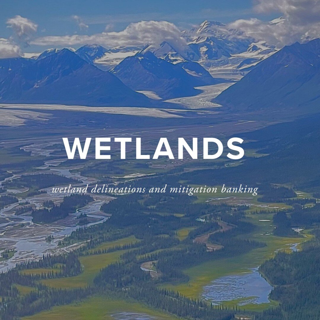 &quot;Healthy forests and wetlands stand sentry against the dangers of climate change, absorbing carbon dioxide from the atmosphere and locking it away in plants, root systems, and soil.&quot; 
-Frances Beinecke

🌸 Wetland Delineation surveys involv