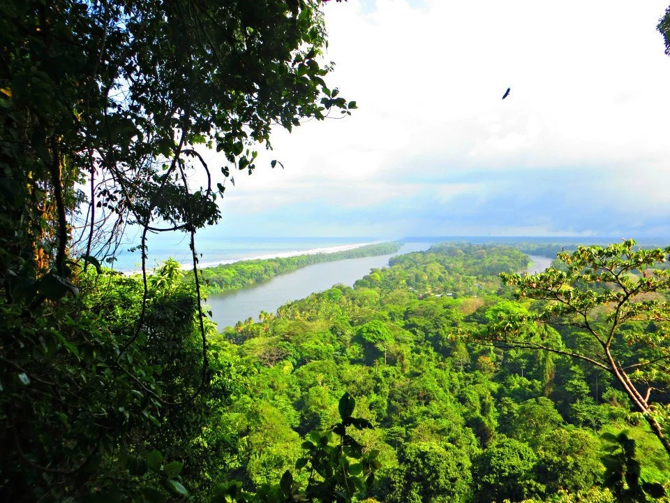 tortuguero.jpeg