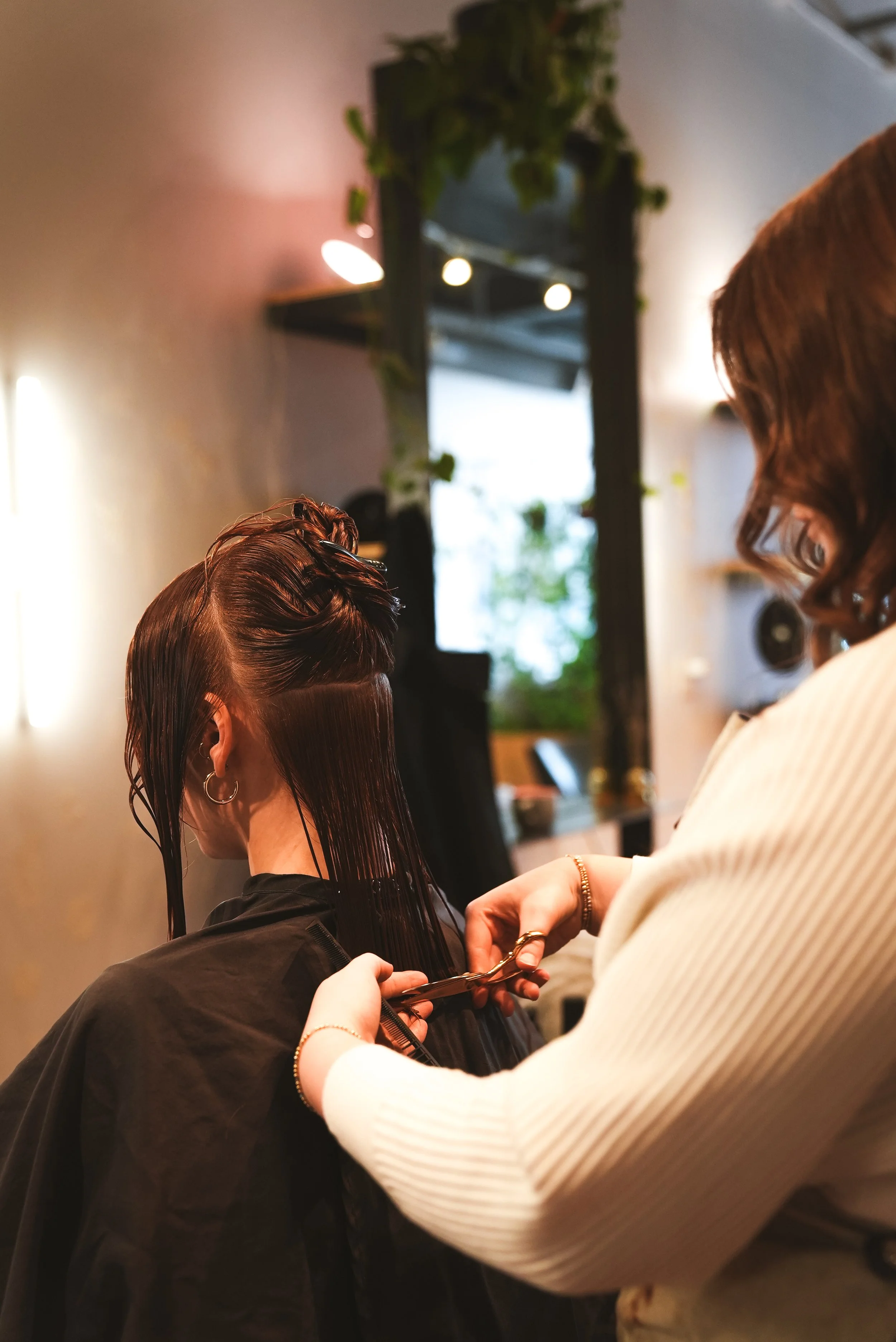 A Holistic Approach to Hair Care