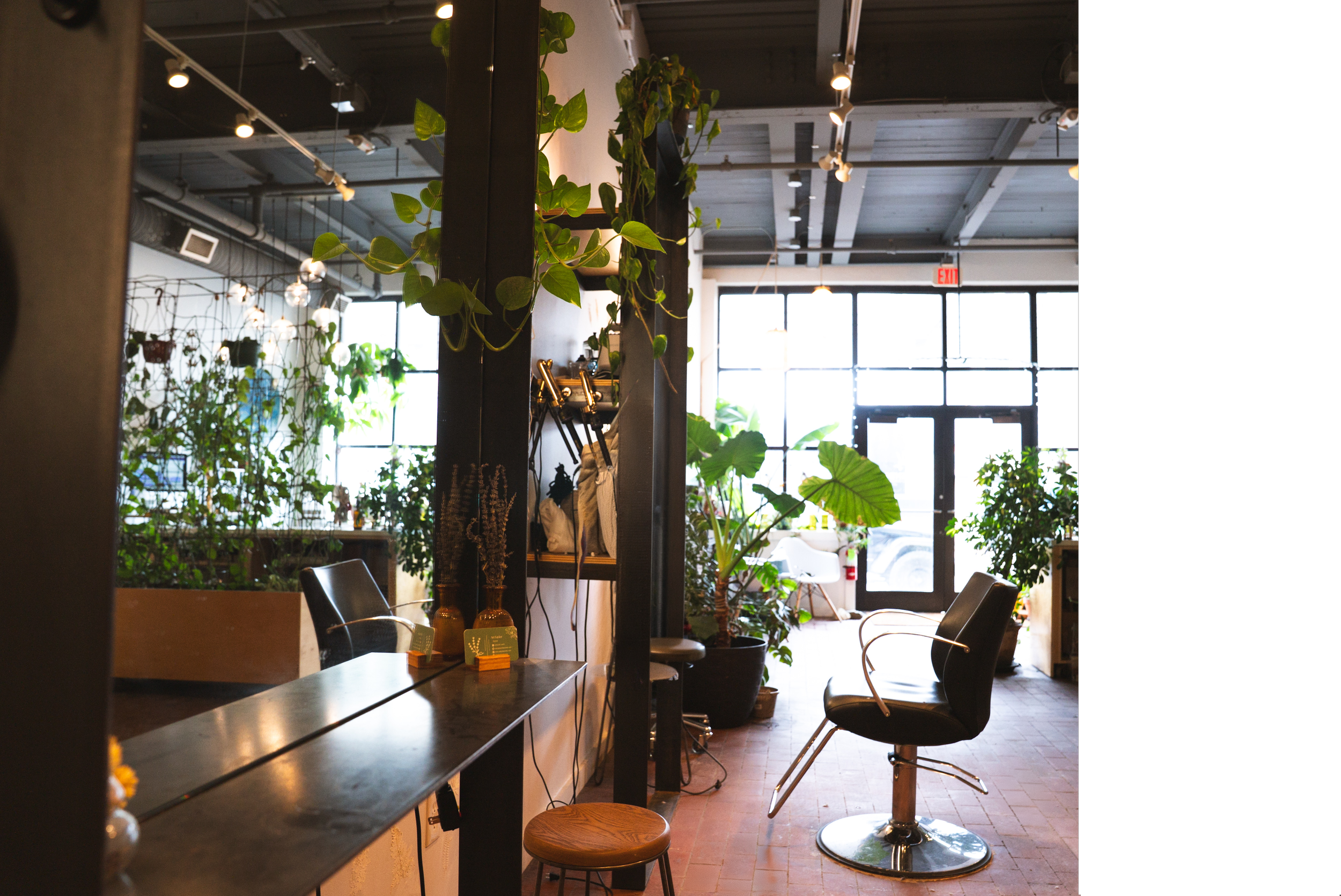 Is a Holistic Hair Salon Right for You?