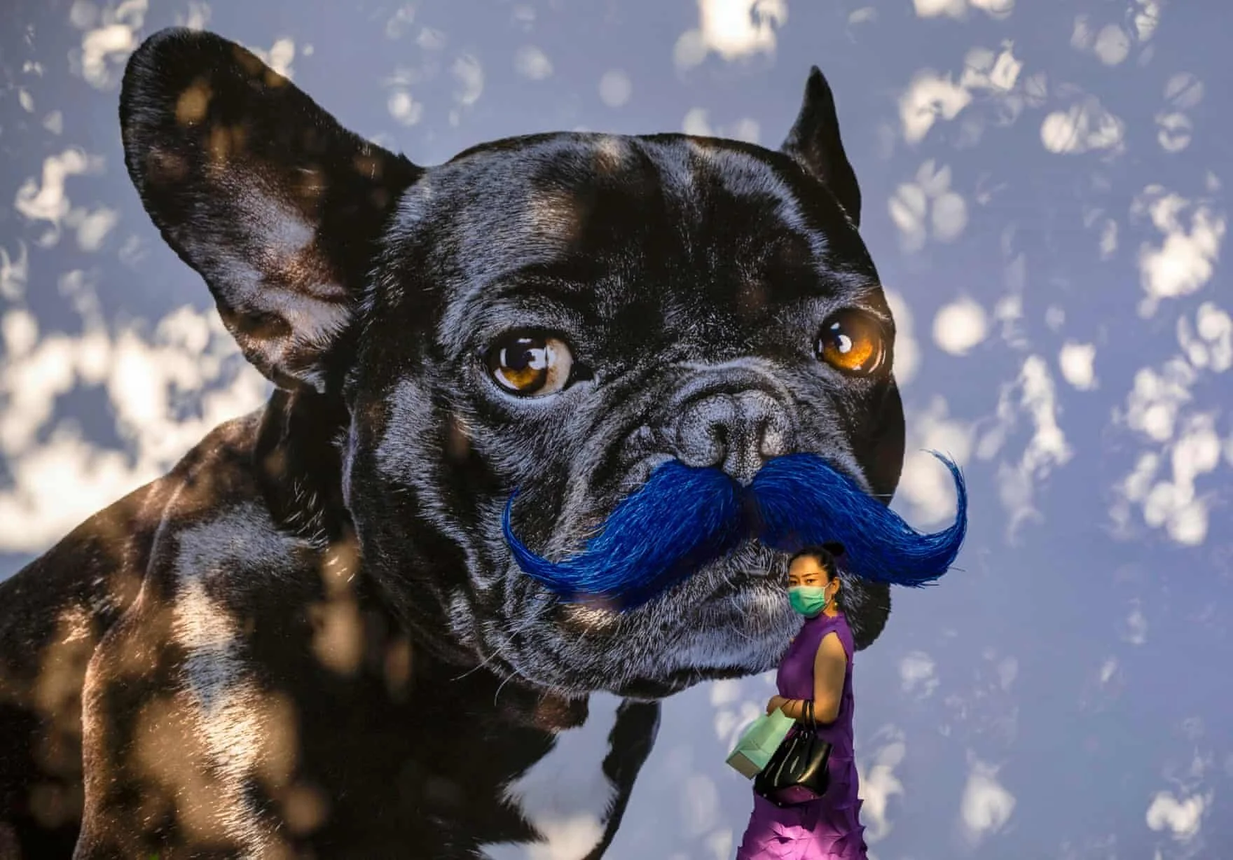 Xangai, China   Uma mulher passa por um mural de um cachorro perto de um shopping onde as máscaras ainda são obrigatórias.  Foto: Alex Plavevski / EPA