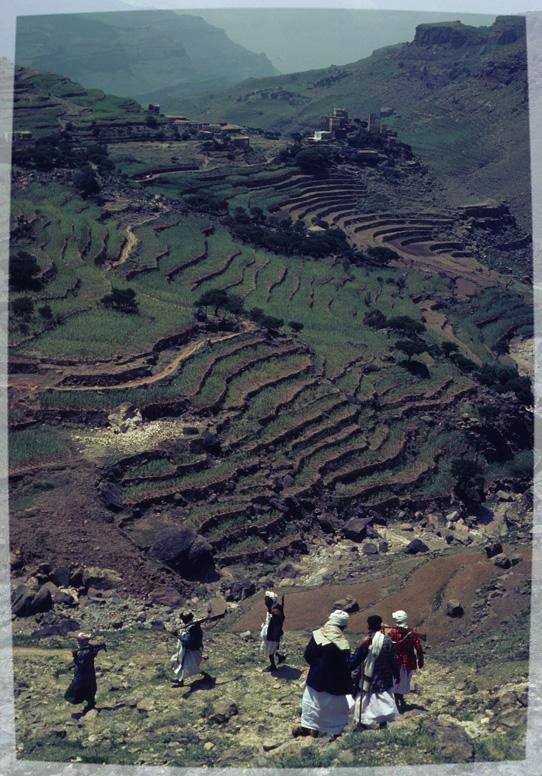image4.jpg