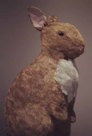 Rabbit Model