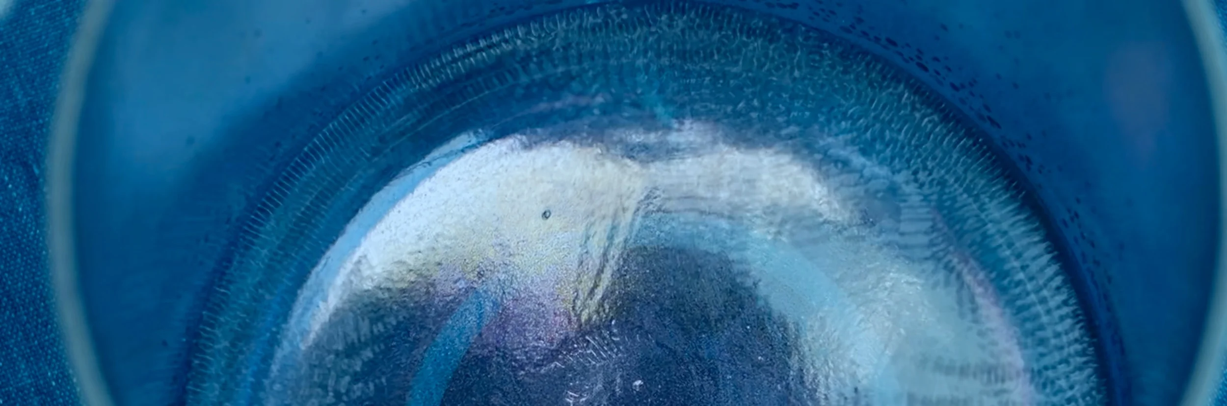 Bowl_closeup_2.jpg