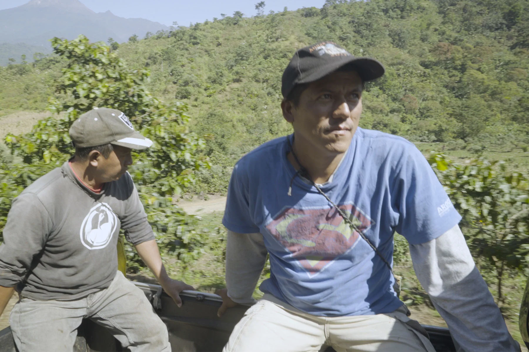 AJ+: Climate Change Hits Coffee