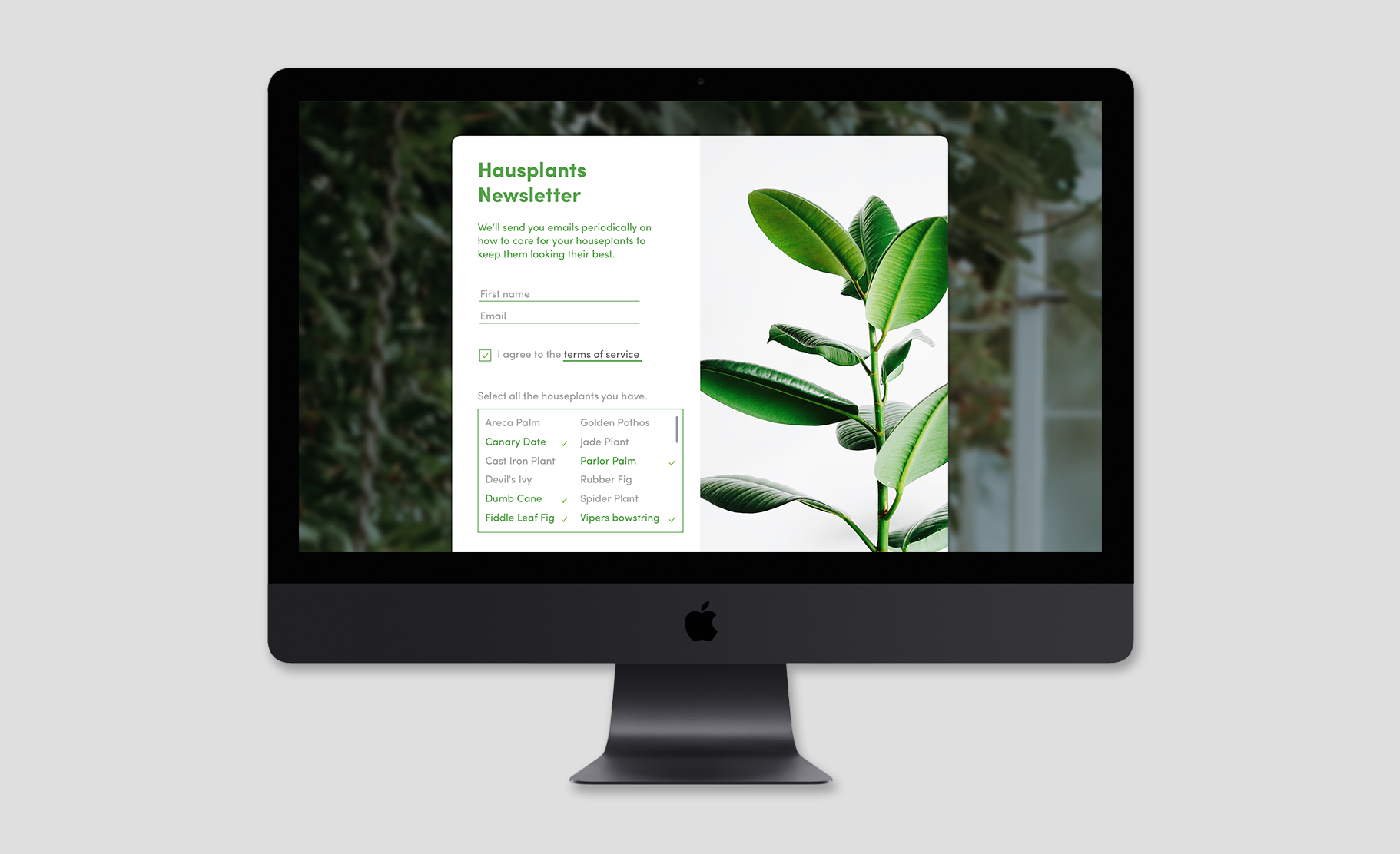 dailyui-001-signup.png