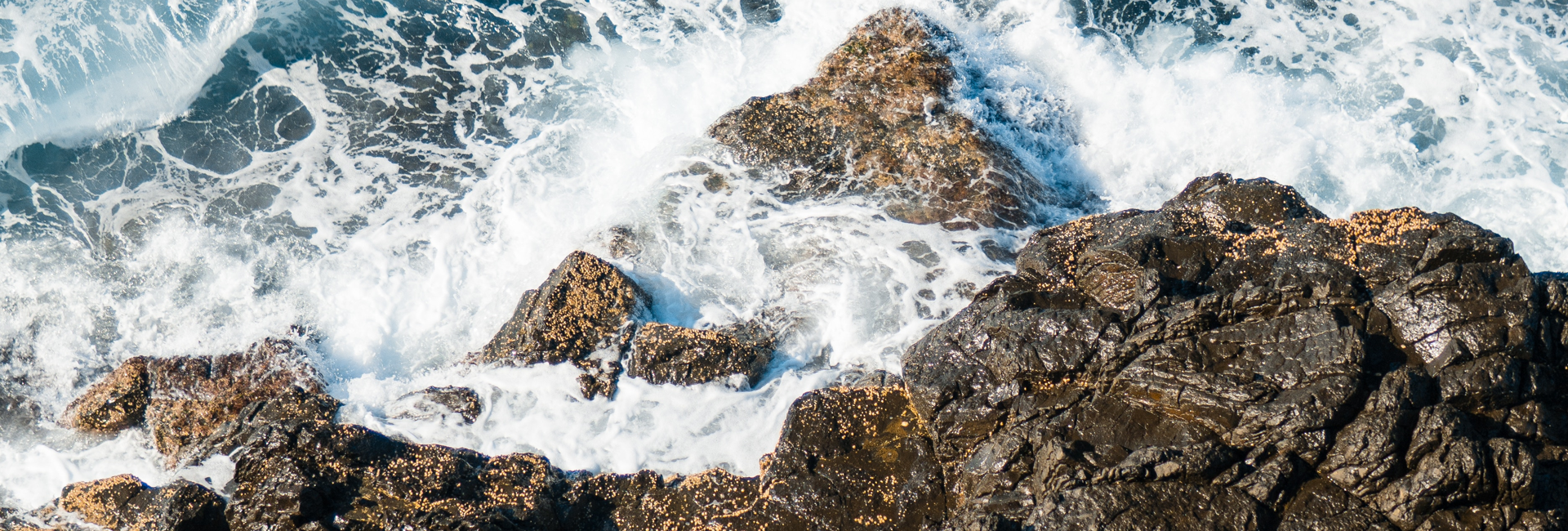 coastline.png