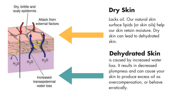 Dehydrated Skin.png