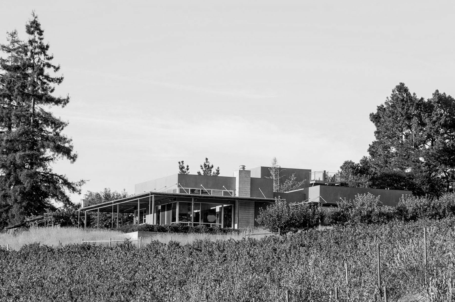 Singer-House-Vineyard-copy.jpg