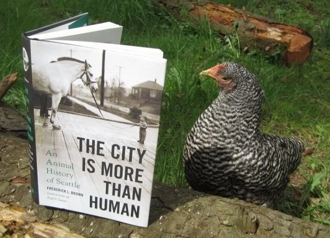 The city is more.jpg