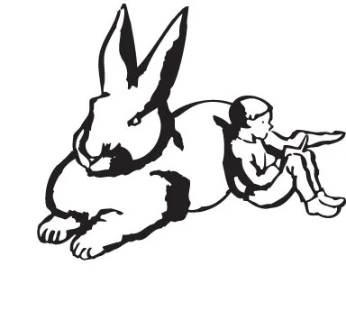 KCLS BUNNY.jpg