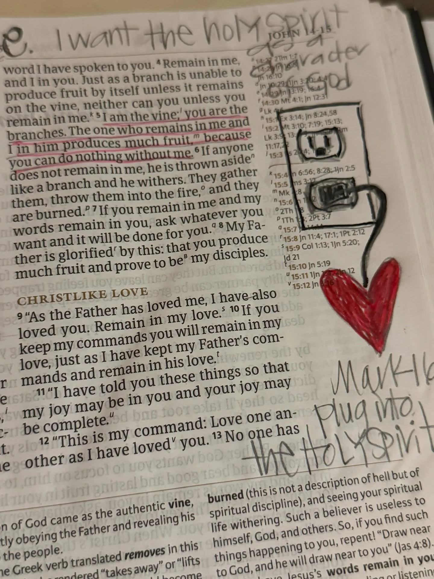 Yesterday I spent some time getting our house in order after all the goodness and running around of last week.  The Lord decided it was a good time for a few visuals and stories 😂🤪. When I vacuum, I don&rsquo;t turn the lights on so I can see the d