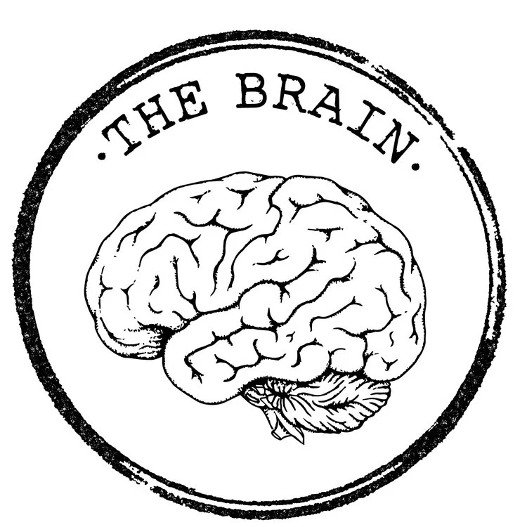 THE+BRAIN.jpg