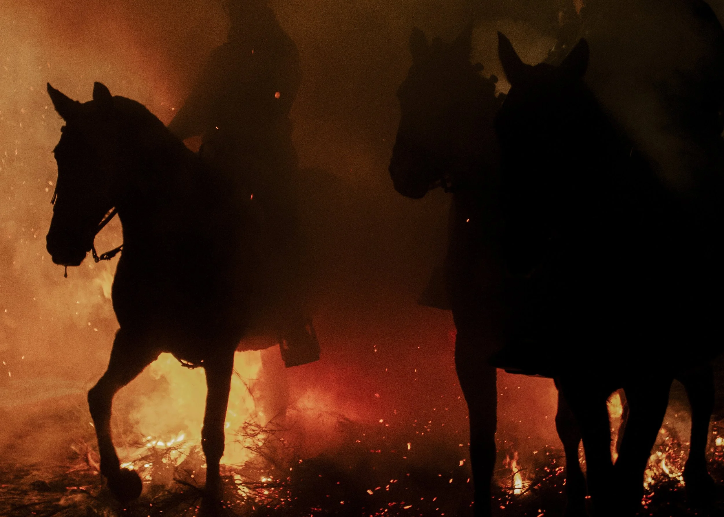 Las Luminarias, January 16 2026, San Bartolomé de Pinares, Spain. Purification of the horses by ritual of fire. Photography by Laima Arlauskaite