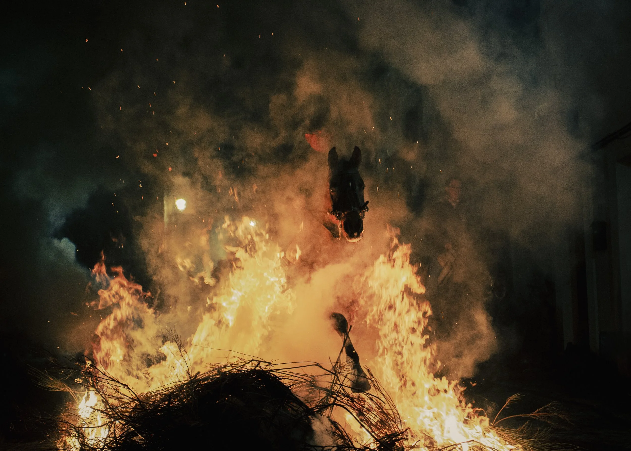 Las Luminarias, San Bartolomé de Pinares, Spain, January 16 2026. Purification of horses, ritual honouring st Antony the Abbot. Horses are prepared by their riders to safely leap through bonfires, a tradition meant to purify and protect them.