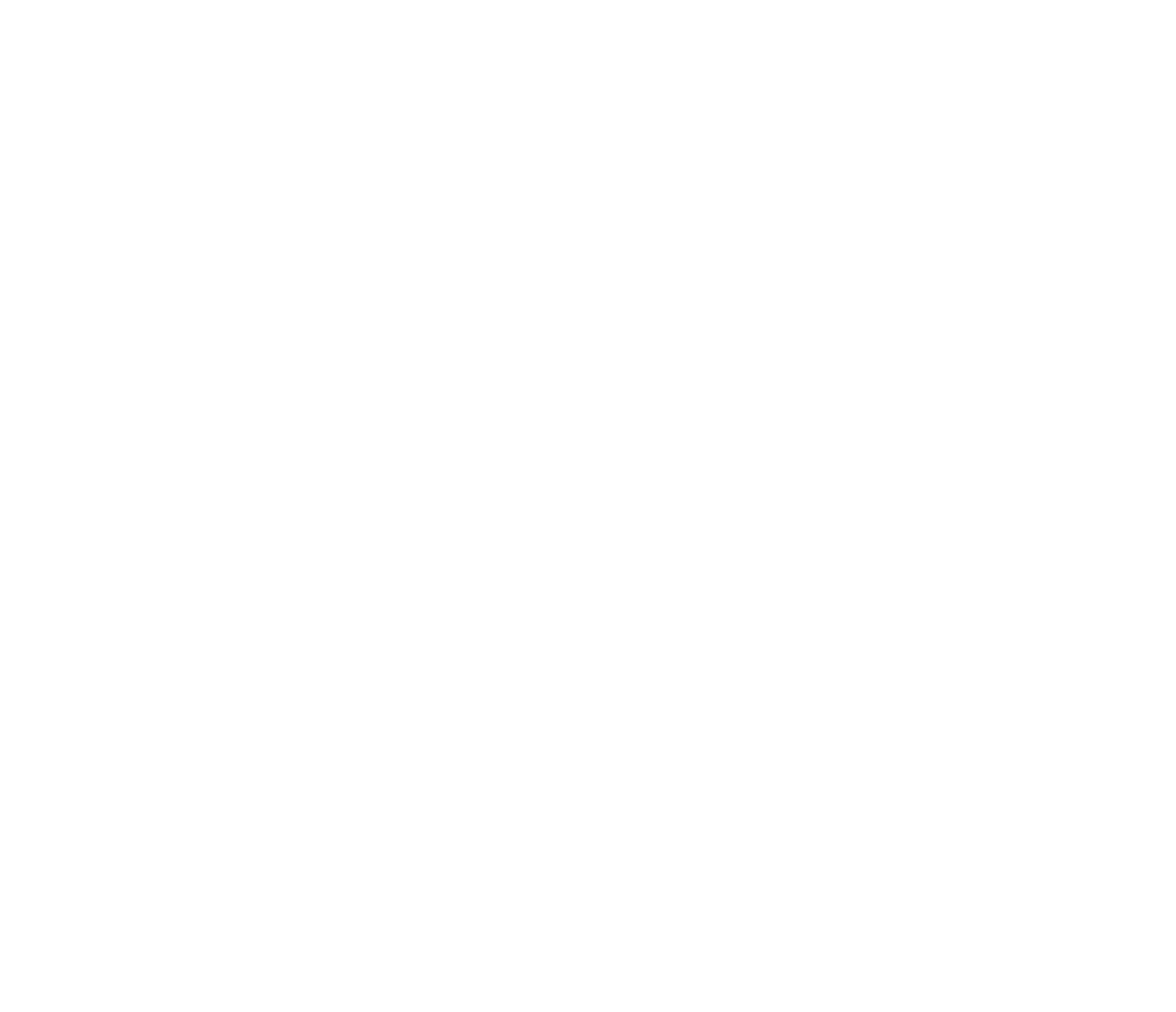 website banner overlay white.png