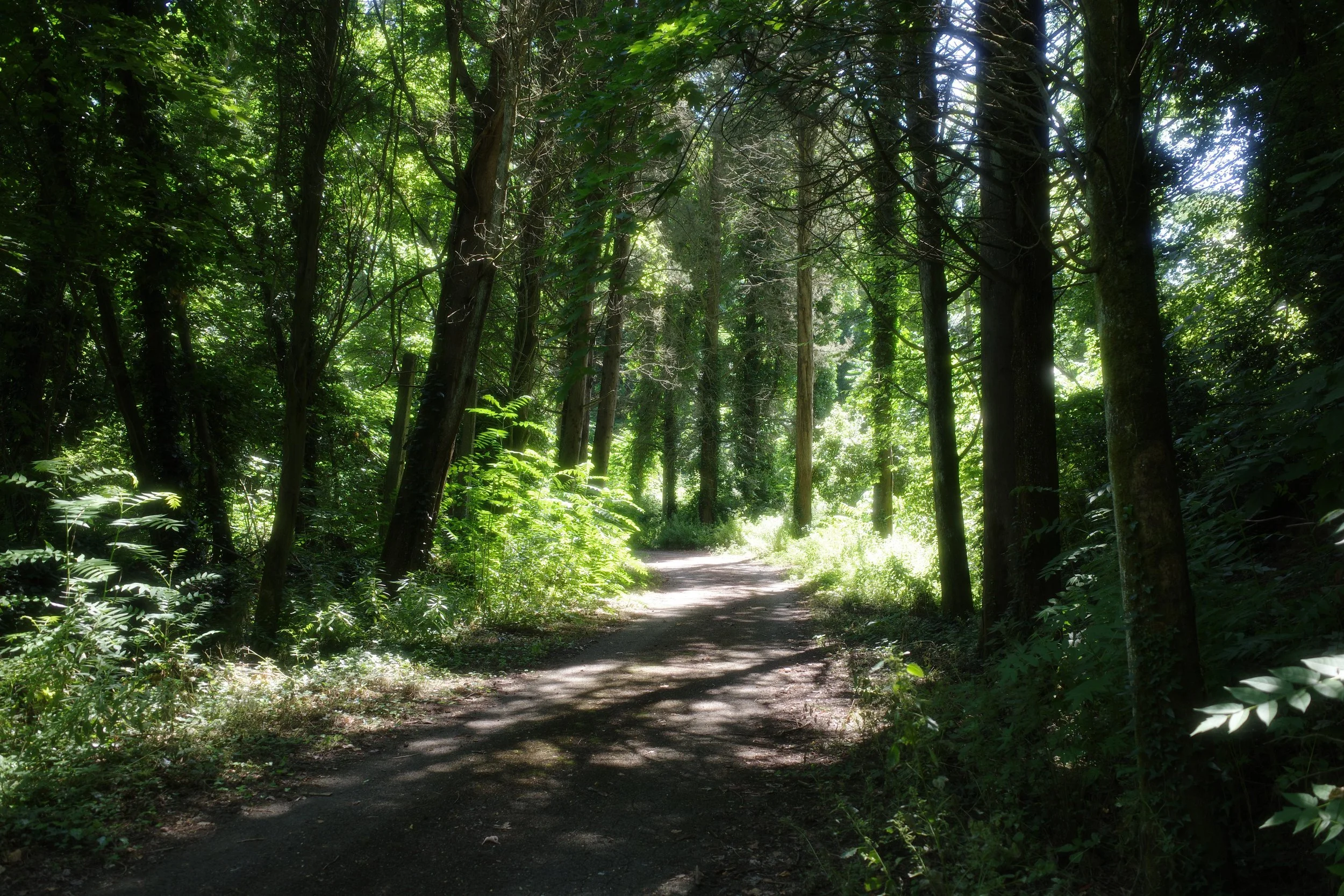 R0001093.JPG