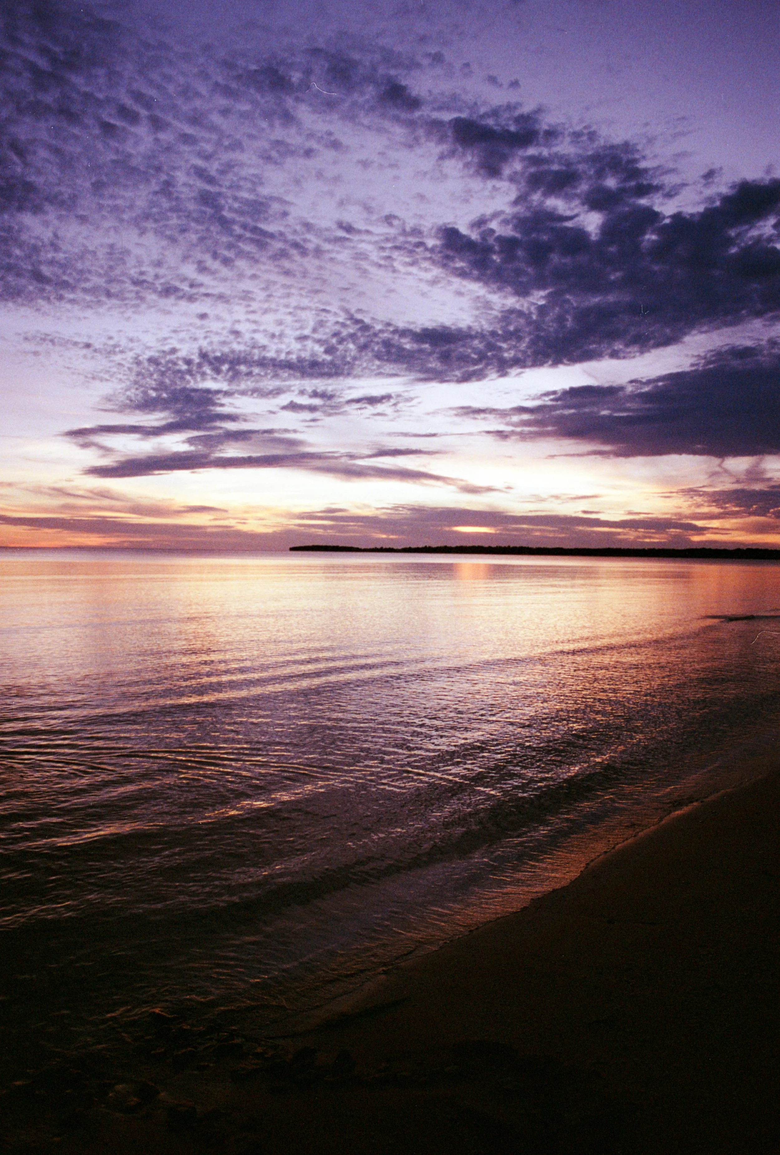 Corrected #6.JPG
