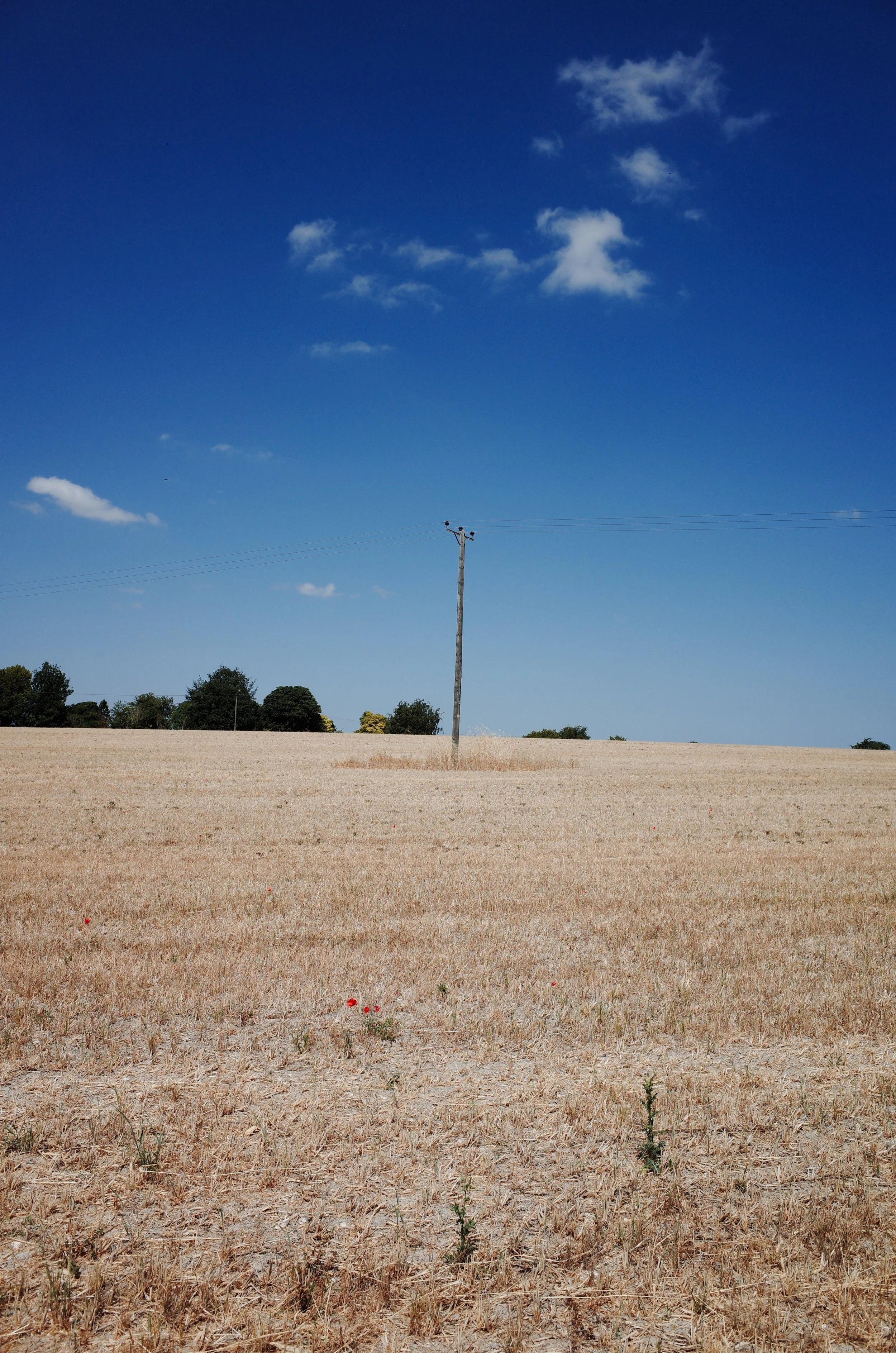 Site-7.JPG