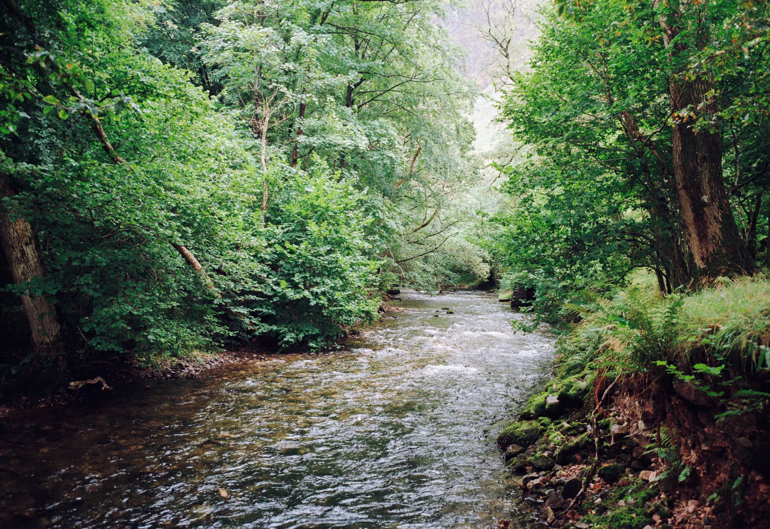 Corrected_ (14 of 14).JPG