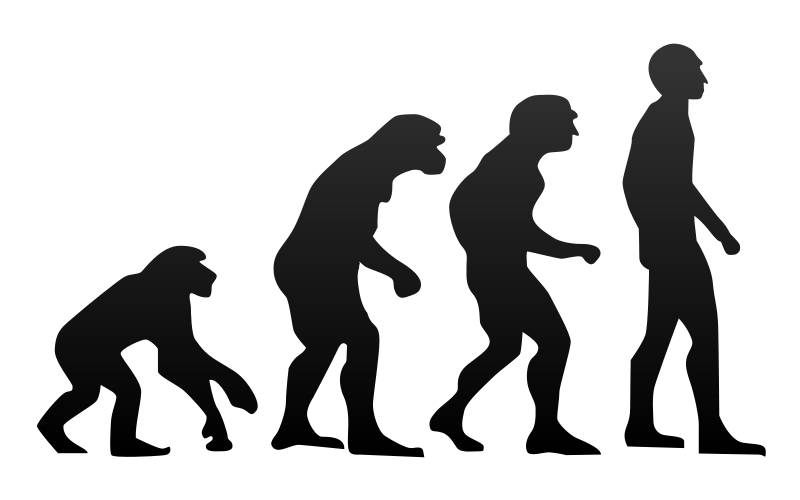 Evolution2.png