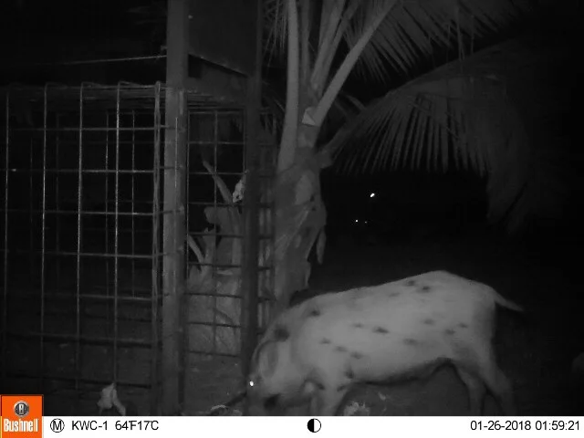 Image-1(2).jpg