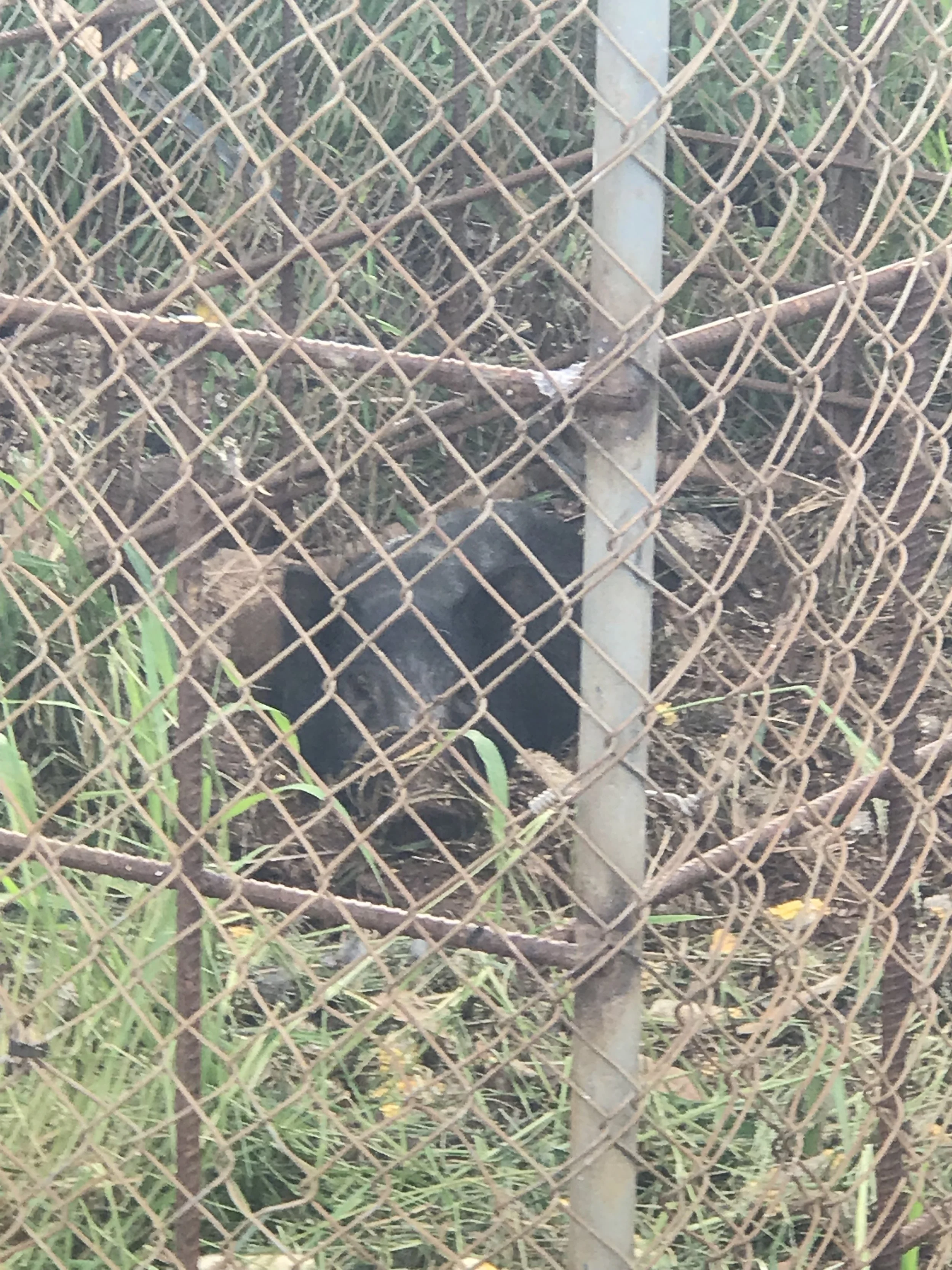 IMG_0514.jpeg