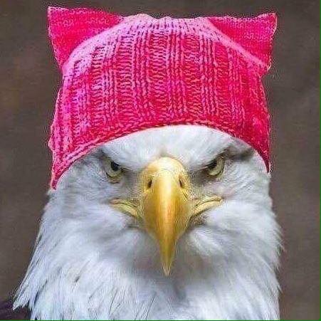 eagle-in-a-pink-pussy-hat.jpg