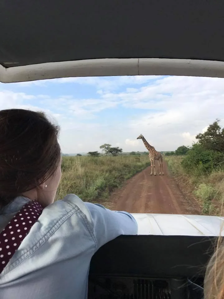 safari.jpg