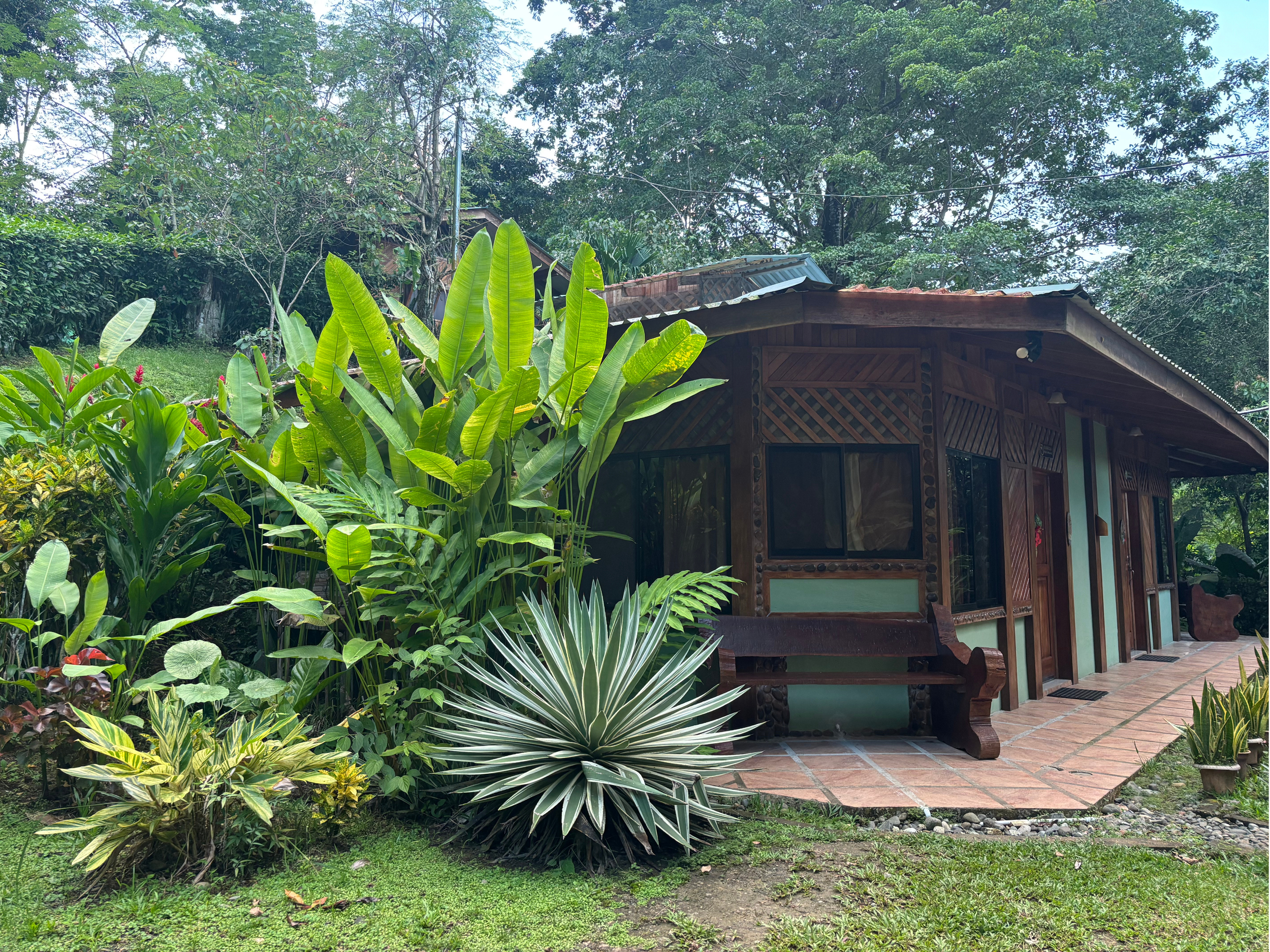Bungalow 9 | Mono Cariblanco.png