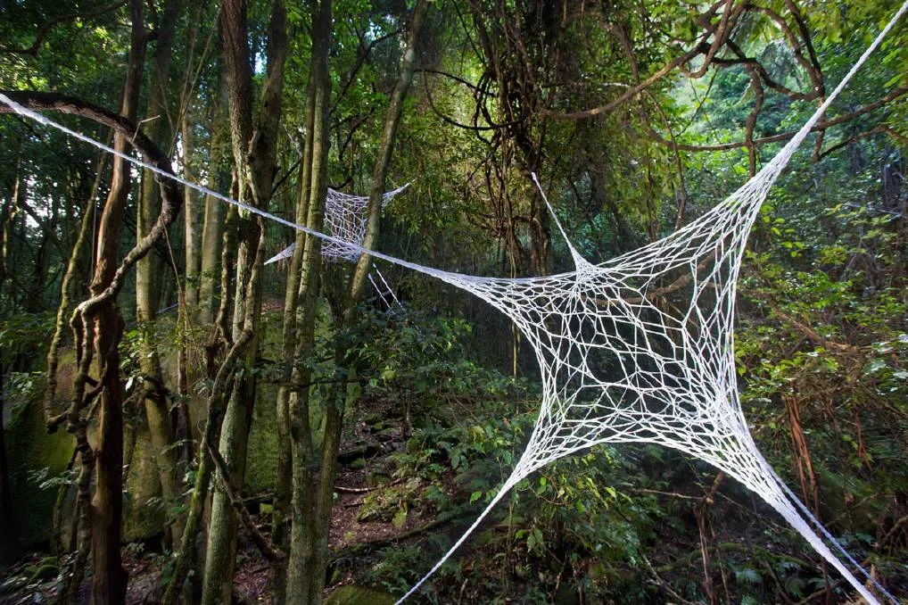 3D Webs by Louisa Magrics. Photo: Keith Maxwell