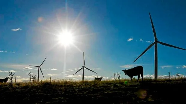 Photo: Bloomberg