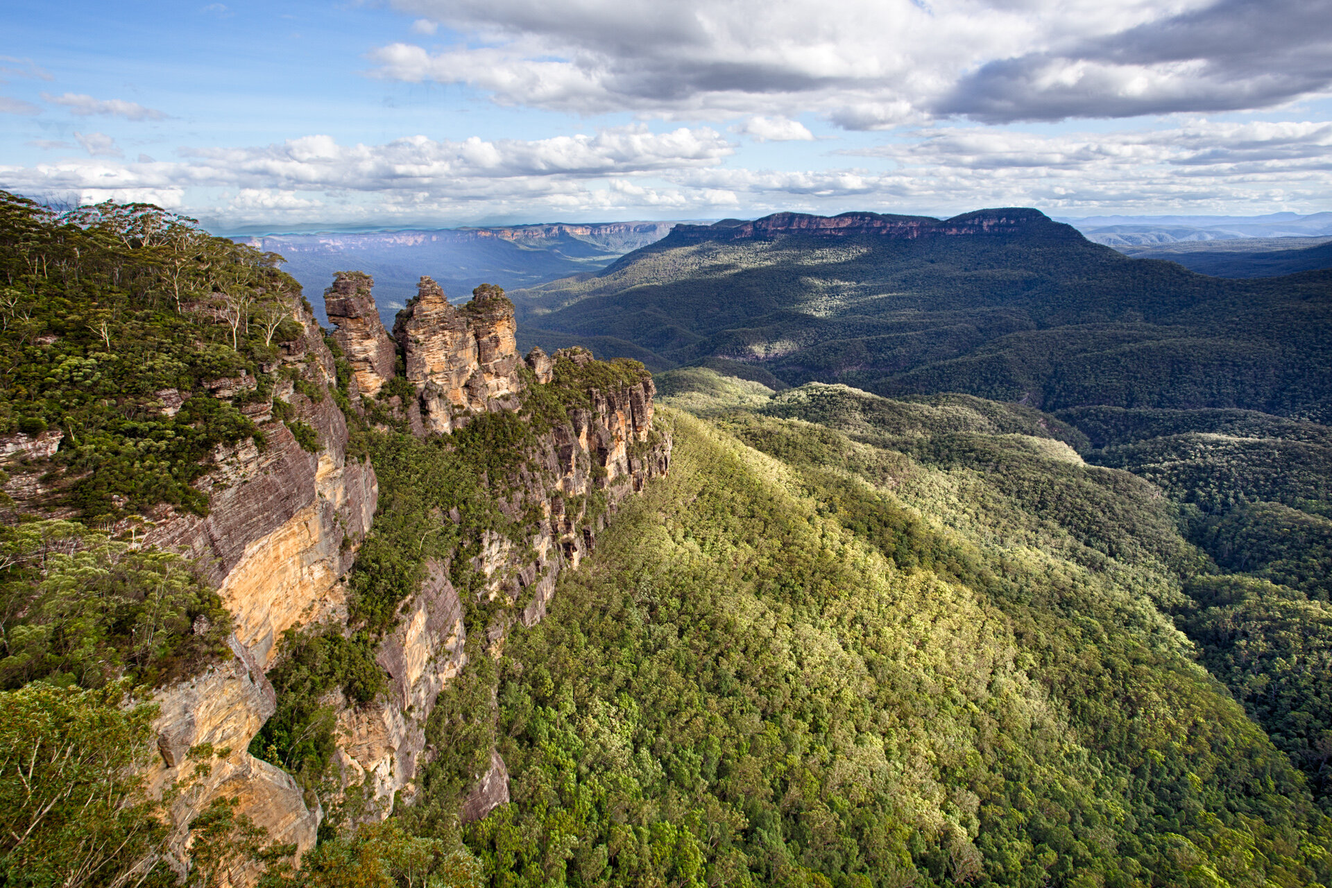  PROTECTING NATURE TOGETHER   LEARN MORE ABOUT THE BLUE MOUNTAINS WORLD HERITAGE INSTITUTE  