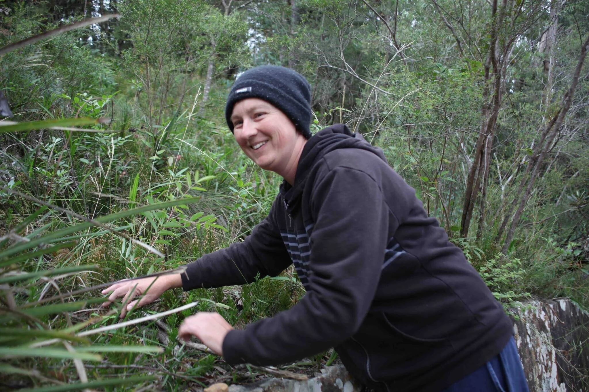 Join our growing community of citizen scientists or volunteer to help us in ways that suit your skills. Learn more →