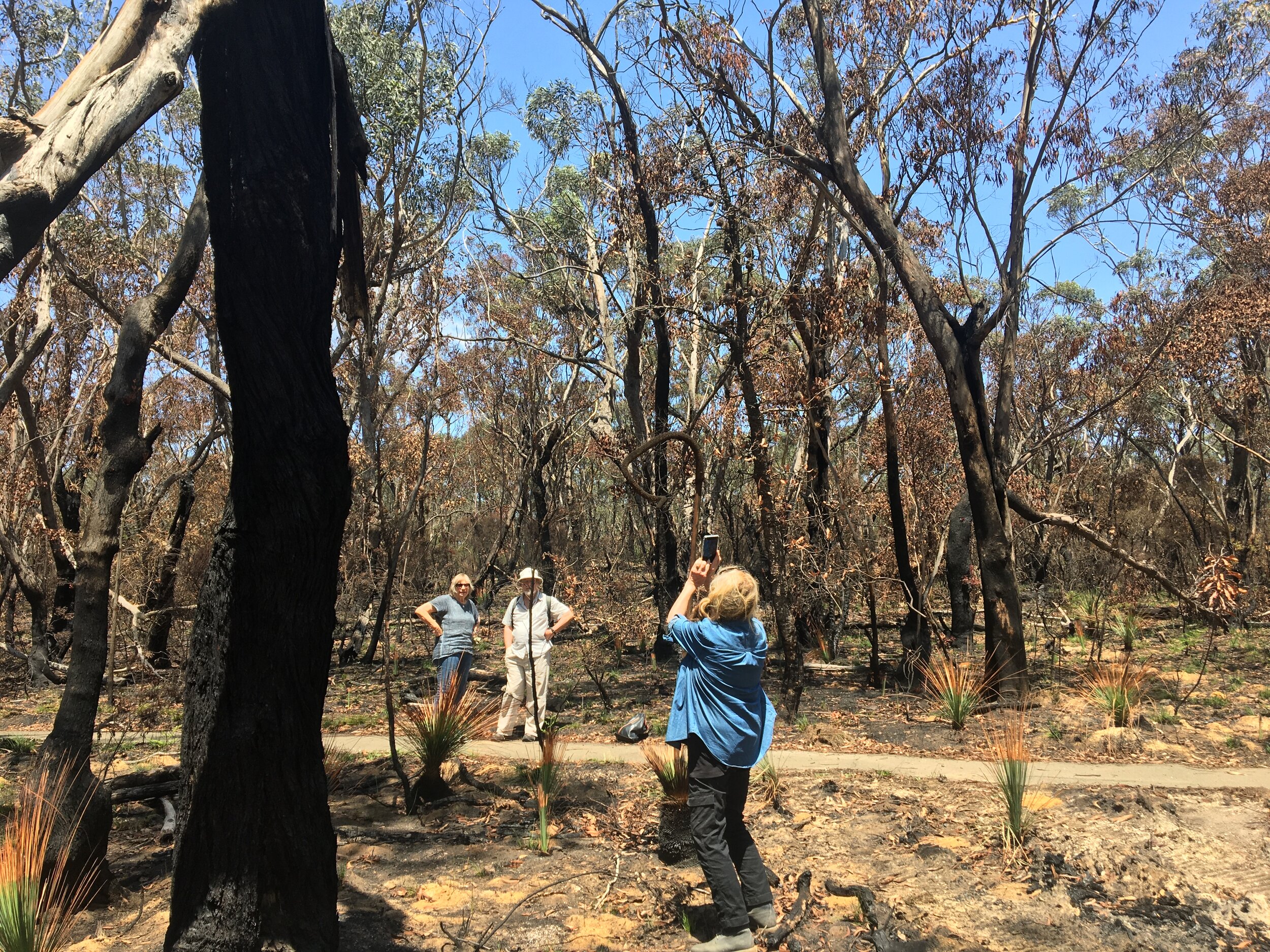  BMWHI citizen scientists at the Fairfax track, Blackheath on 29 January, 2020 