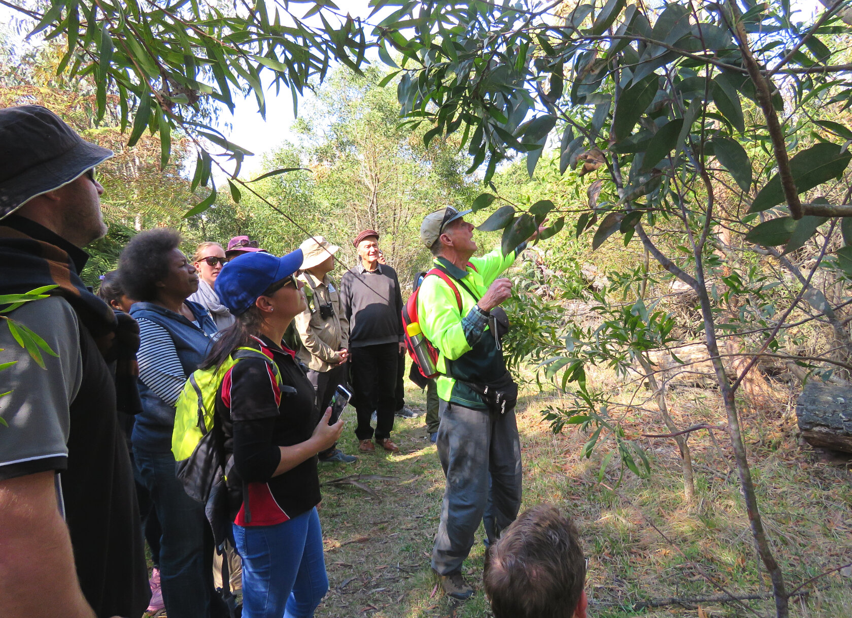 Scholarship applications now open for Conservation training