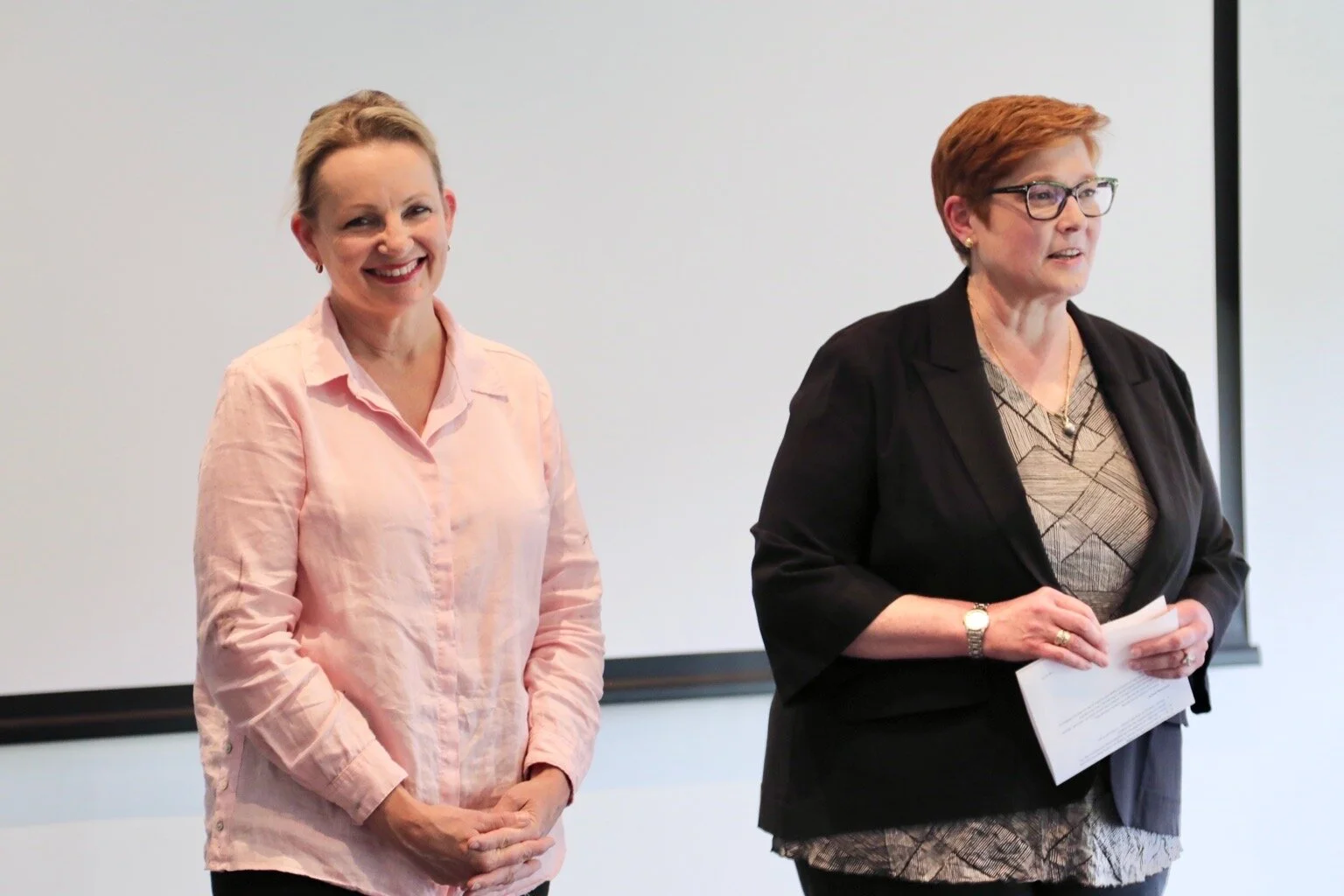 Blue Mountains to benefit from new bushfire funding