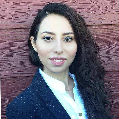 FIROUZEH TAGHIKAHSystems Modeler, Data Scientist