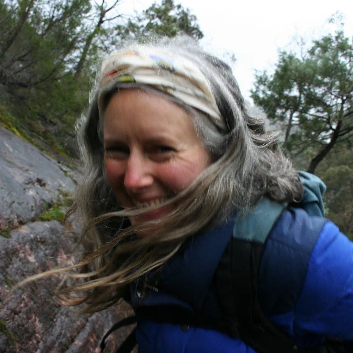 FREEDOM WILSONArts Fellow