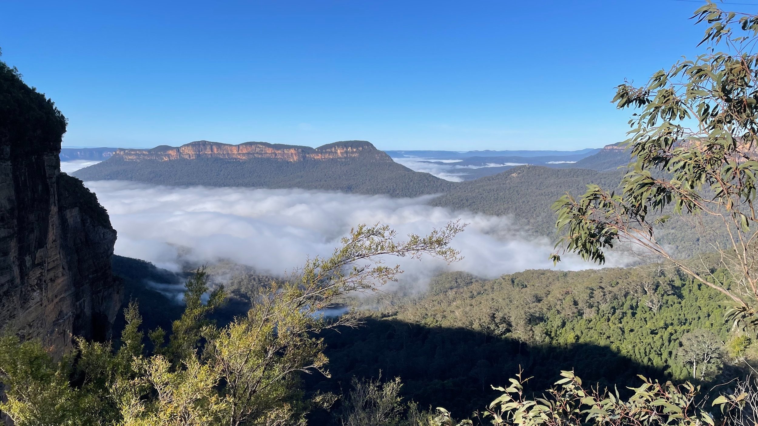 Keep the Blue Mountains Blue 