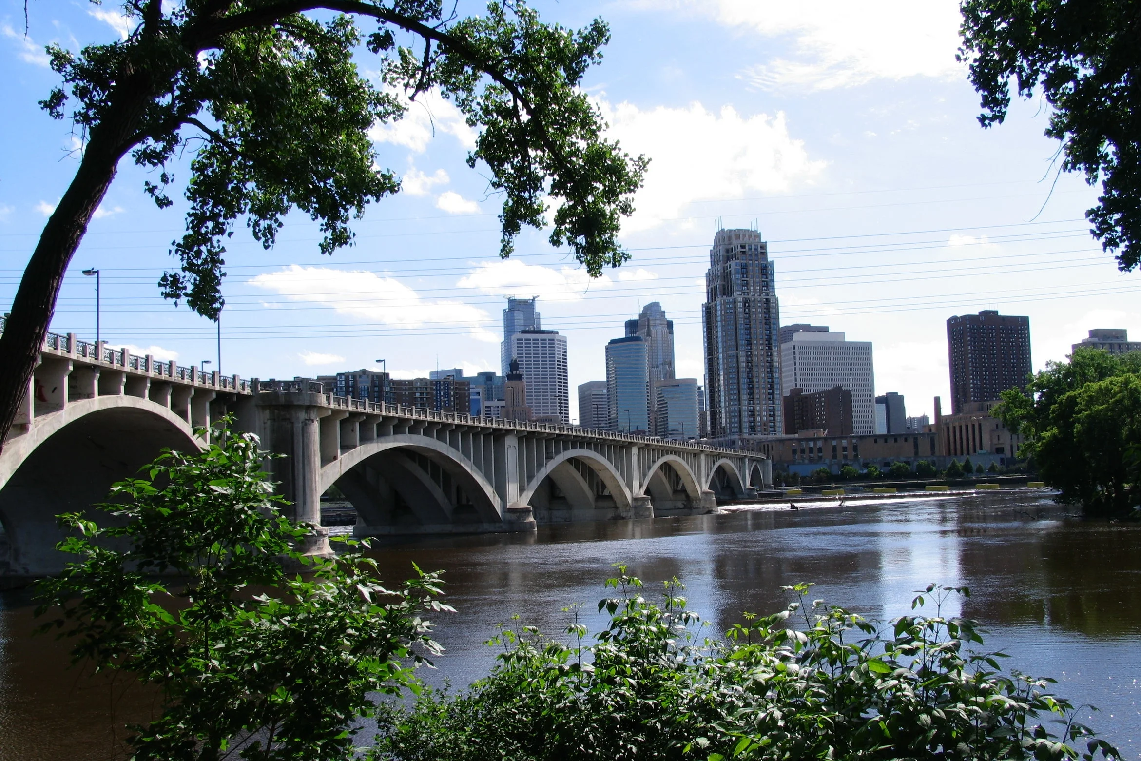 Friends of the Mississippi River - 25th Anniversary