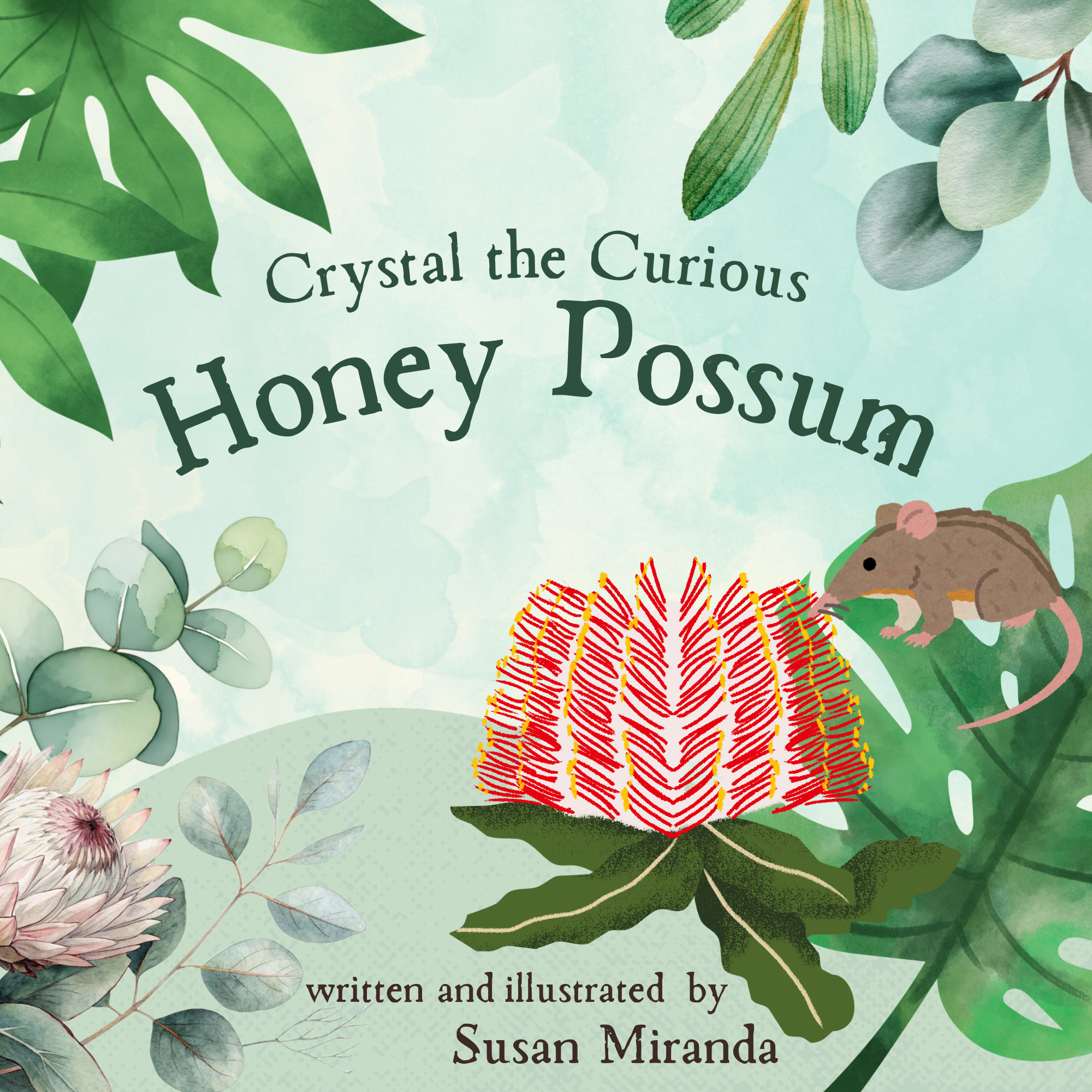 Crystal the Curious Honey Possum
