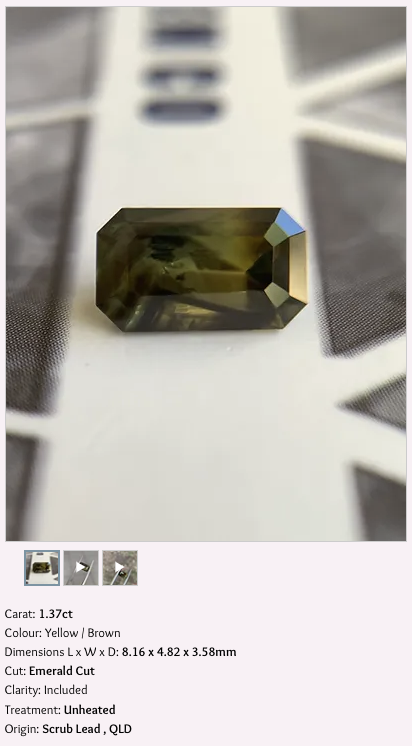 Screenshot 2024-12-13 at 2.49.48 pm copy.png